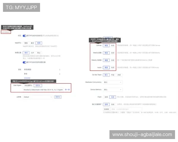 ag视讯电脑版账户安全设置及资金管理策略全面解析